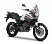 2013 Yamaha XT660Z Tenere photo